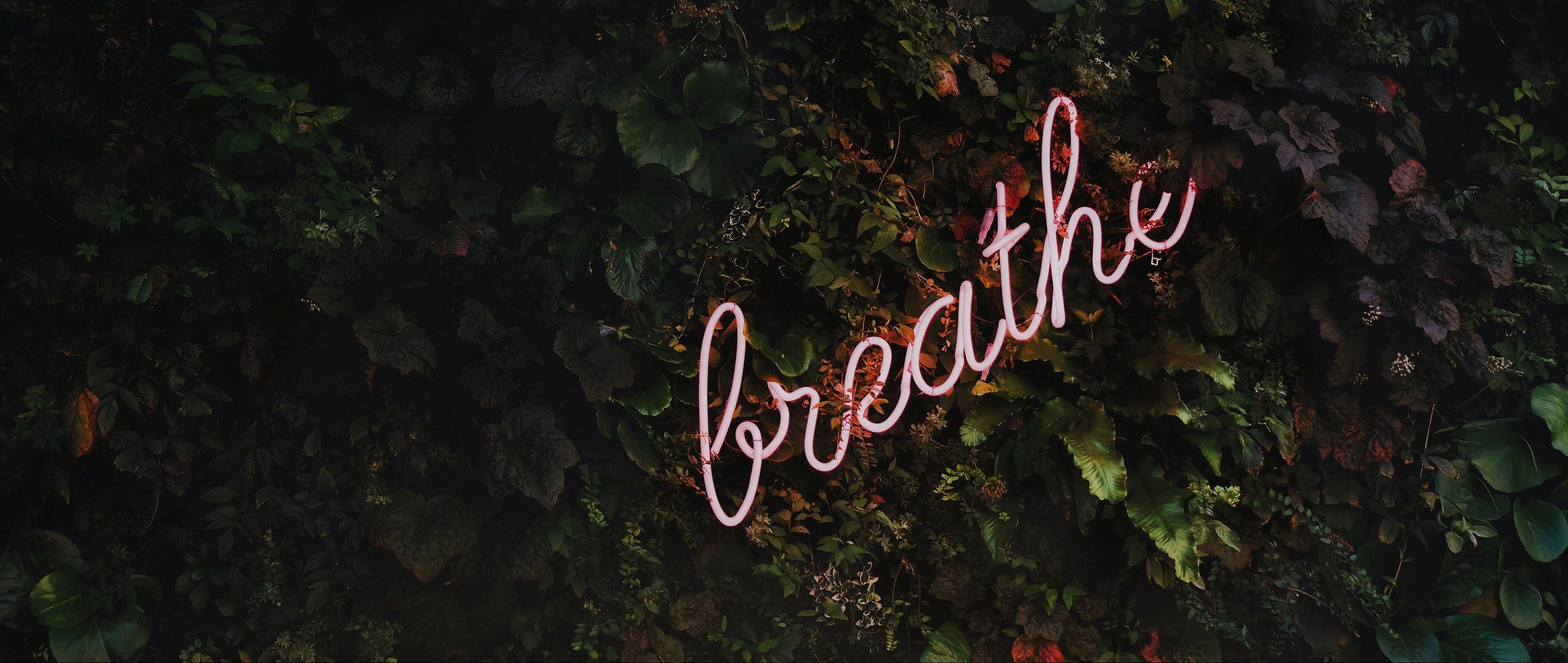 tim-goedhart-334149-unsplash-1203253732-1552567041406.jpg