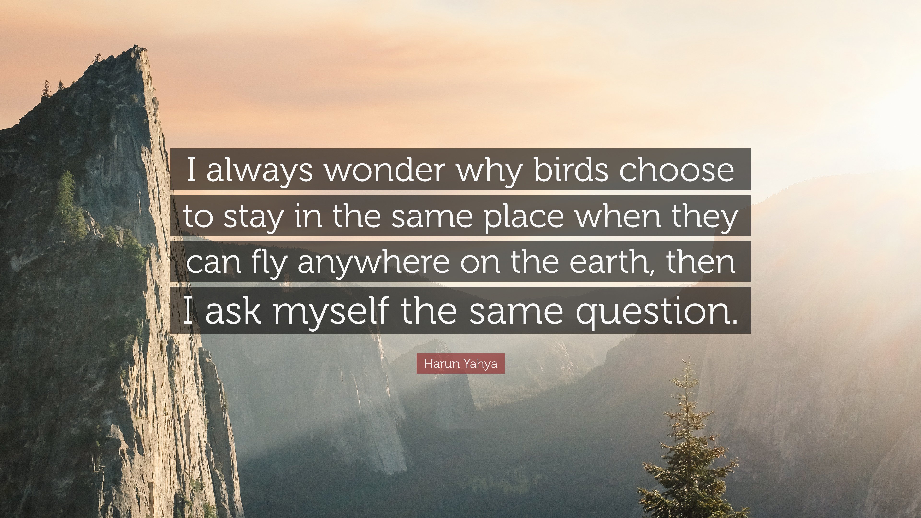 Quotefancy-46124-3840x2160
