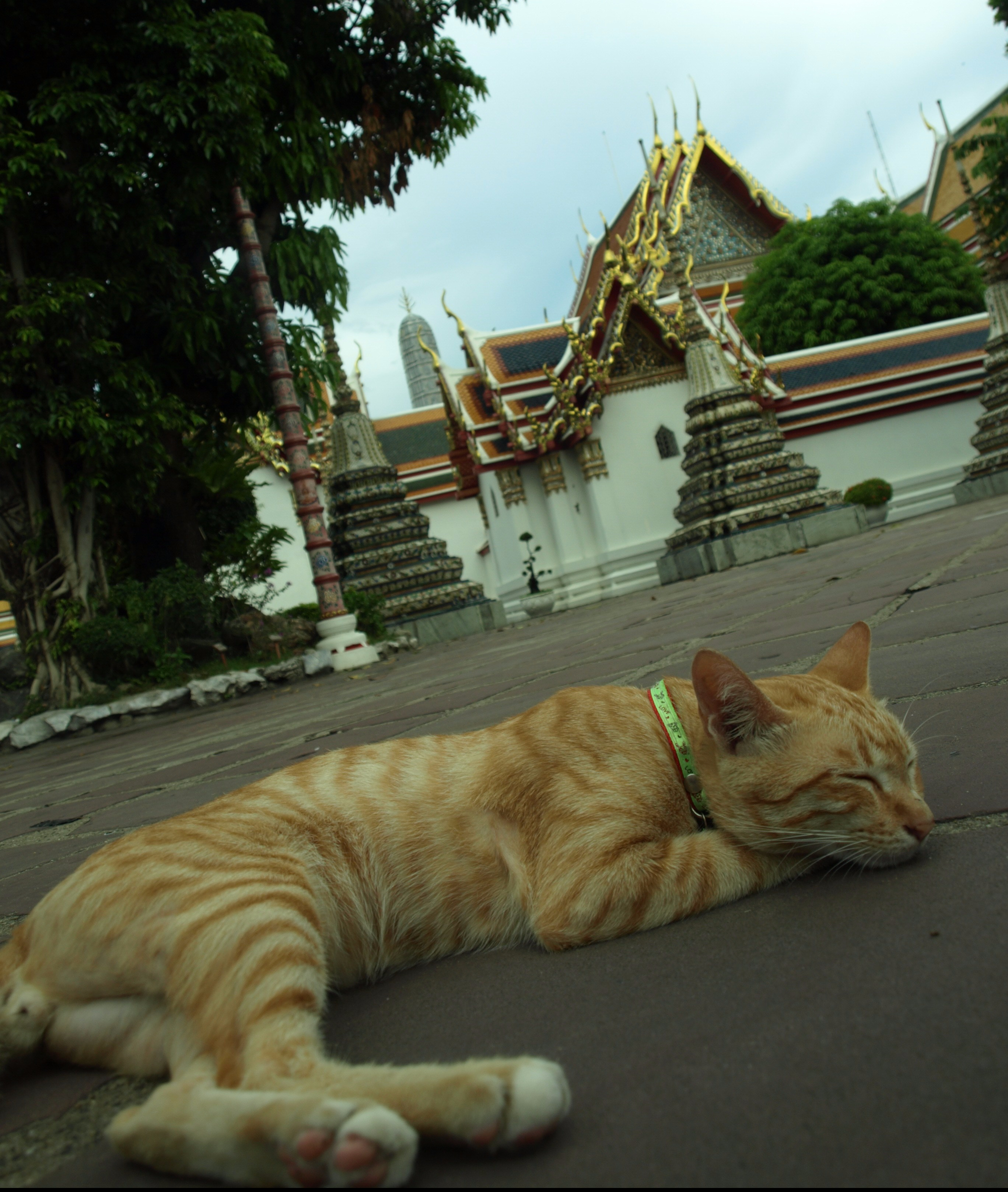 Wat Arun Thailand