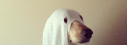 ghost dog