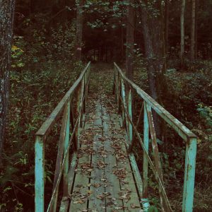 bridge-in-the-wood