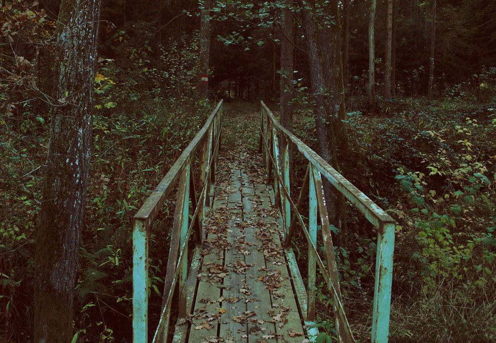 bridge-in-the-wood