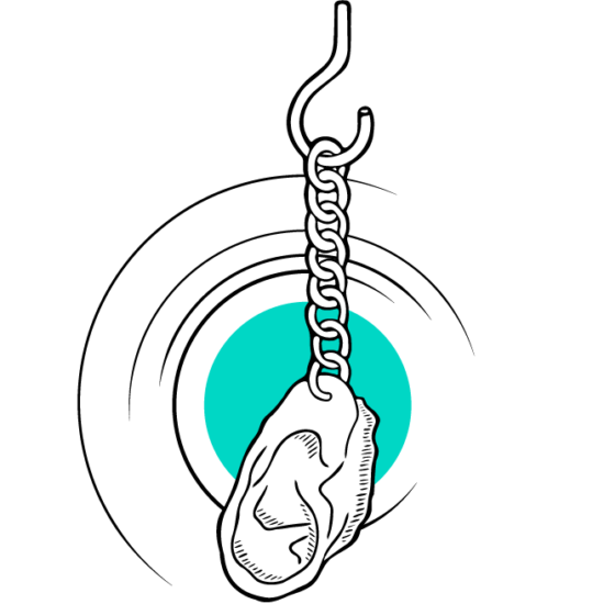 ear music illustration