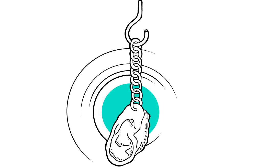 ear music illustration