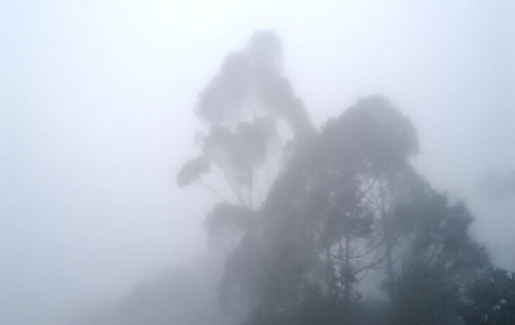 Fog in Ella